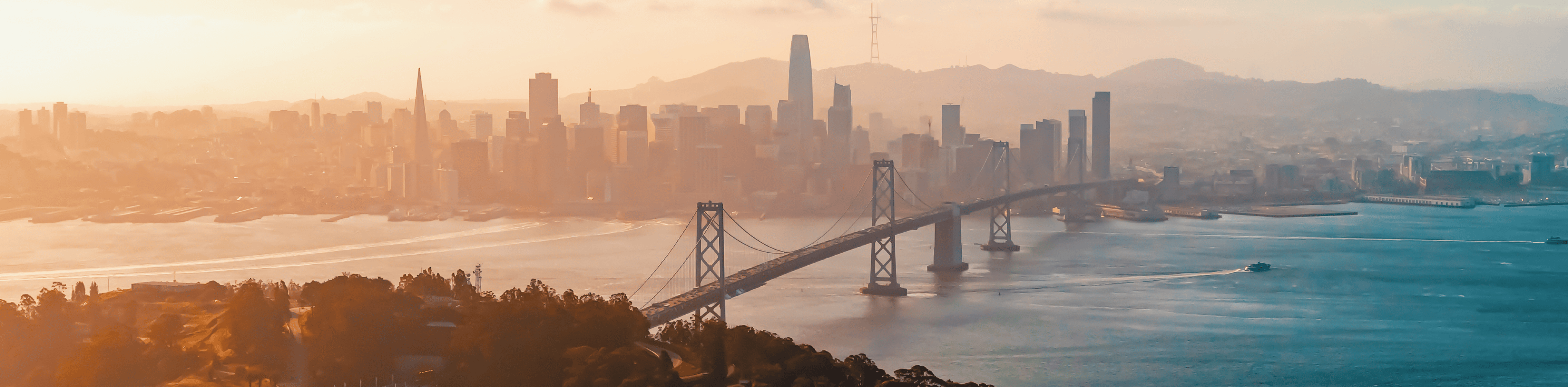 Providing a Unified Mobility Management System with Topia