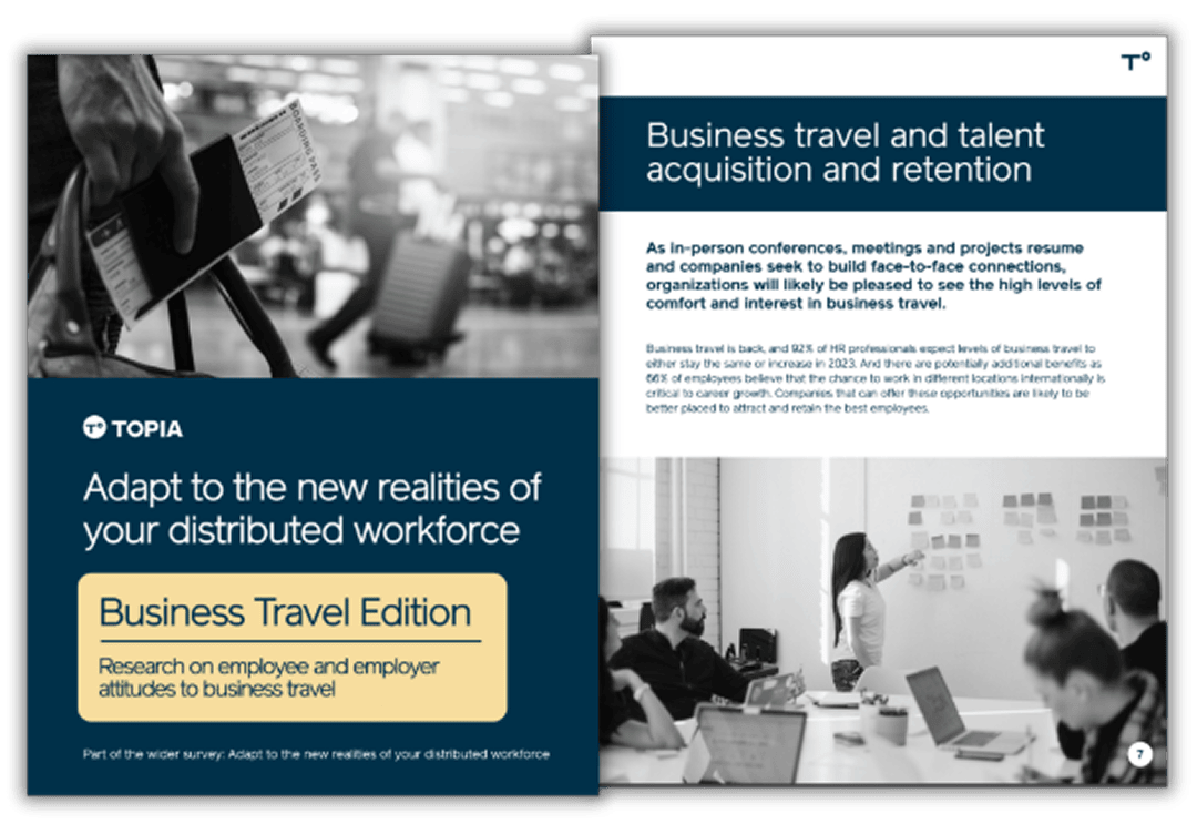 A business travel edition ebook image displaying a polished cover with travel motifs and a professional aesthetic.