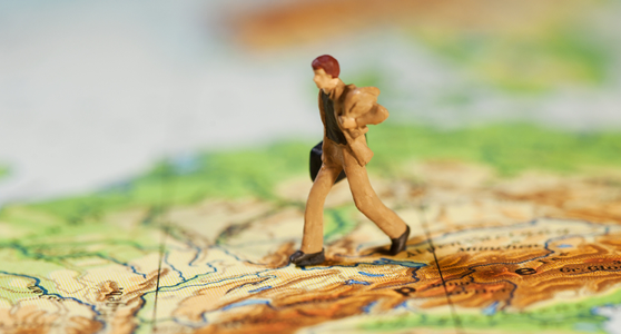 2016 In Global Mobility Management: Year In Review